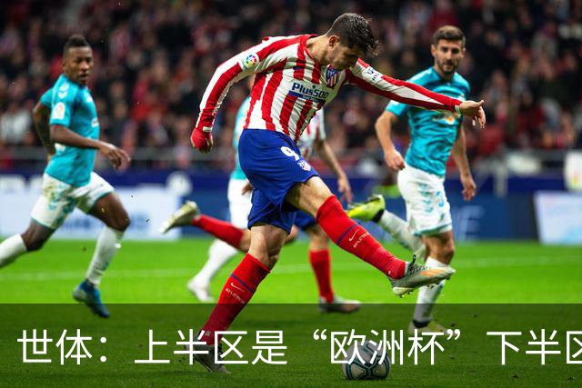 世体：上半区是“欧洲杯”下半区是“美洲杯”，英阿大战太迷人