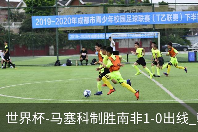 世界杯-马塞科制胜南非1-0出线 韩国积3分获小组第三待定