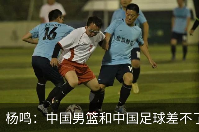 杨鸣：中国男篮和中国足球差不了太多，没有气场，失去了绝对优势